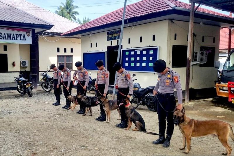 Polda Gorontalo Tingkatkan Kemampuan Unit Satwa K9 untuk Keamanan Masyarakat