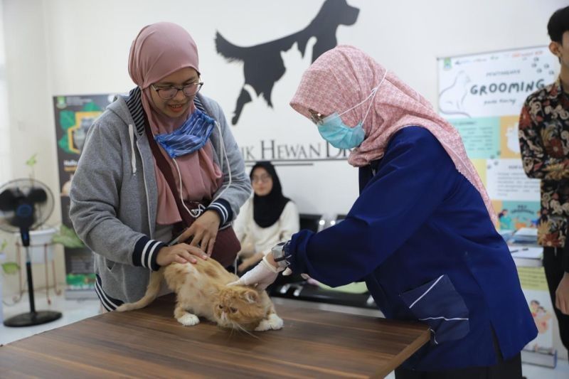 Kota Tangerang Raih Penghargaan Bebas Rabies 14 Tahun: Layanan Kesehatan Hewan Gratis Jadi Kunci