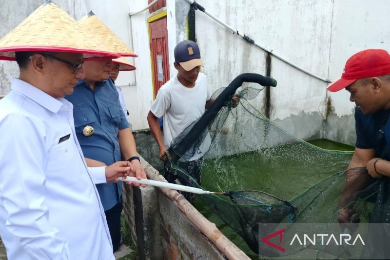 Lapas Martapura Sukses Panen Sayur dan Ikan, Berdayakan Warga Binaan