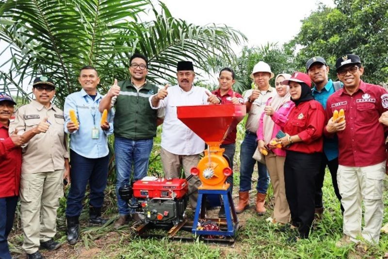 KWT Kukar: Panen Jagung dan Madu Kelulut, Dorong Ketahanan Pangan Kukar