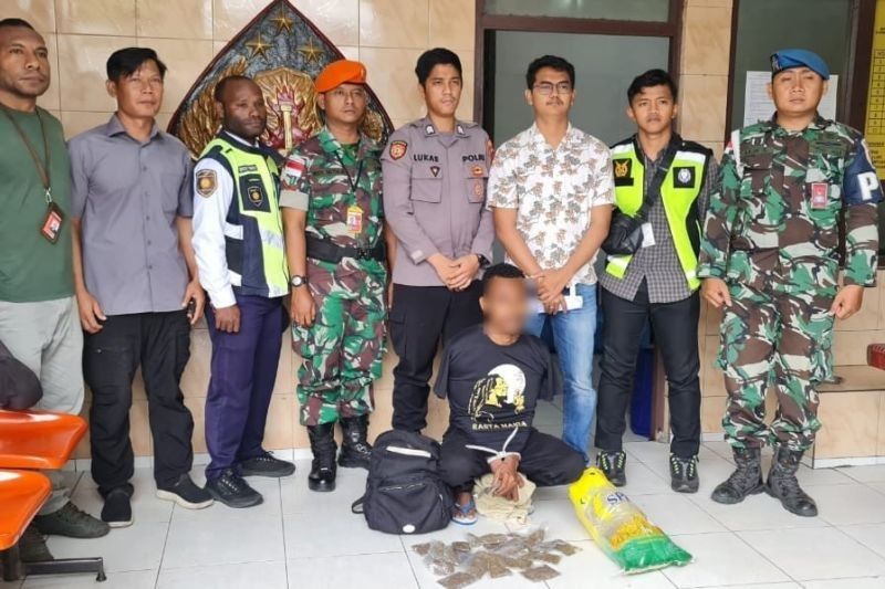 Bandara Sentani Gagalkan Penyelundupan Ganja, 42 Bungkus Diamankan