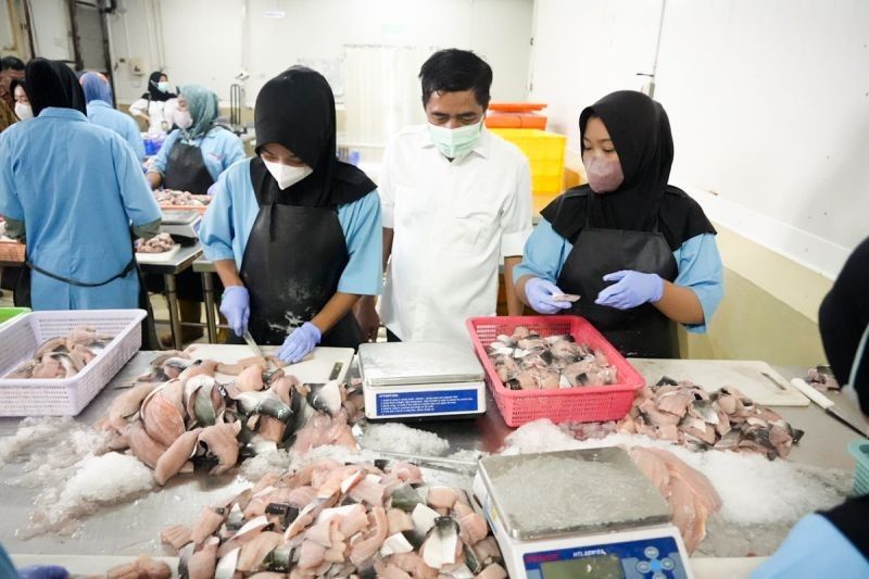 Integrasi Cold Storage Jaga Kualitas Ikan di Program Makan Siang Gratis