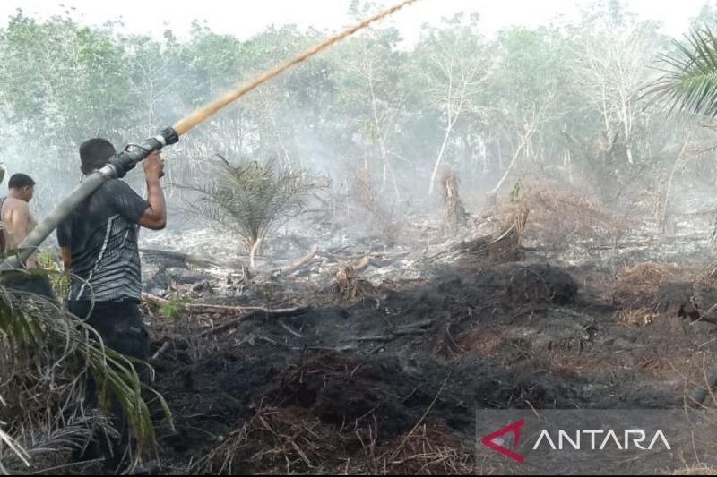 BPBD Aceh Barat Kerahkan Personel Padamkan Kebakaran Lahan Gambut di Lambalek