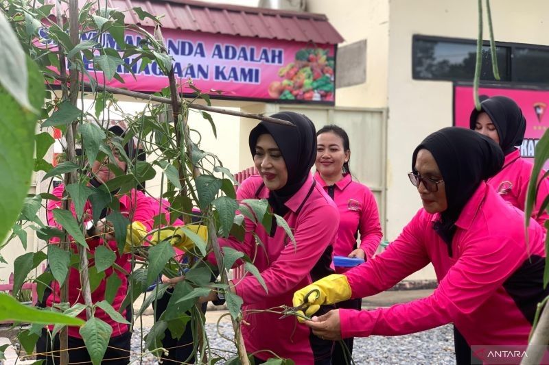 Brimob Sultra Panen Sayur, Dukung Ketahanan Pangan Nasional