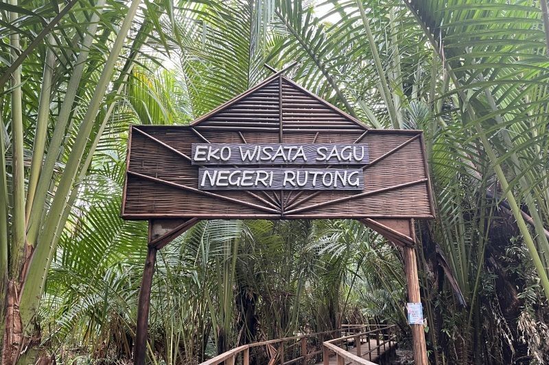 Negeri Rutong: Lestarikan Hutan Sagu, Jaga Ketahanan Pangan Maluku