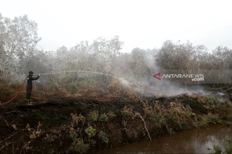 Kebakaran Lahan Gambut Aceh Barat: 5.000 Meter Persegi Lahan Terbakar