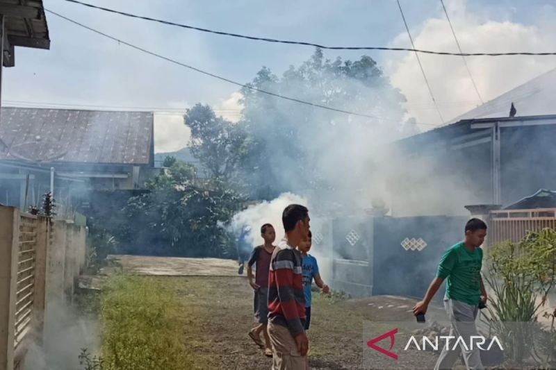 Waspada DBD di Rejang Lebong: Dinkes Imbau Warga Tingkatkan Kewaspadaan