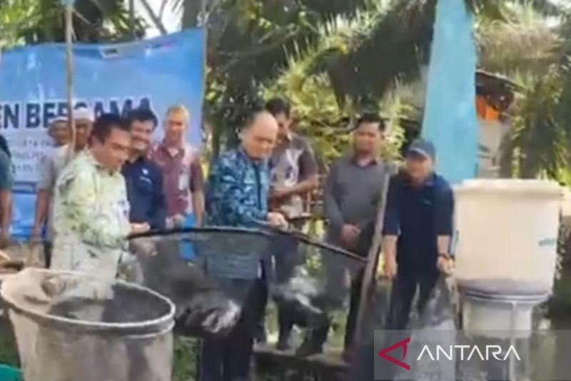 Prospek Menjanjikan Budidaya Ikan Air Tawar di Bangka Tengah