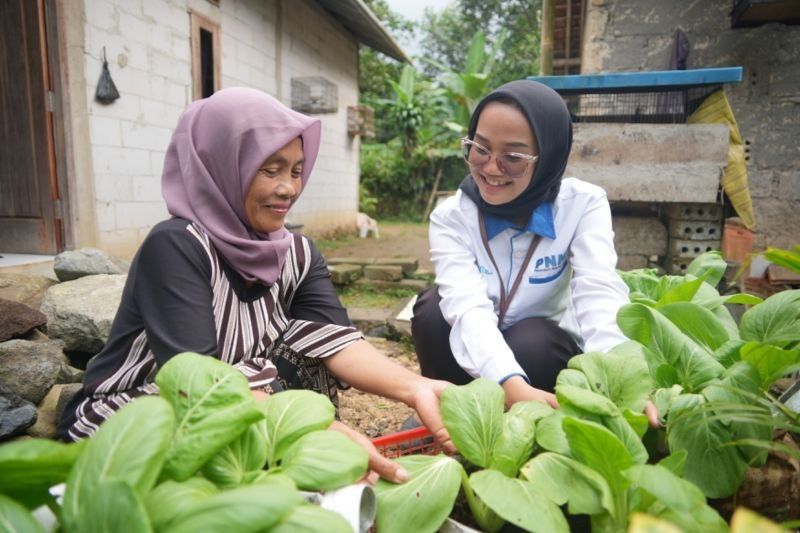 PNM: Rumah Pangan Tingkatkan Kesejahteraan Ekonomi Keluarga