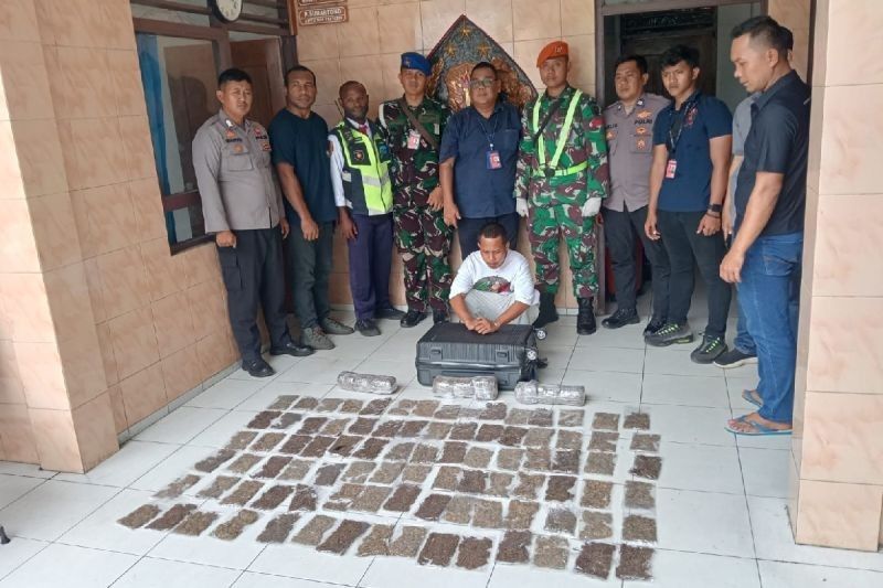 Penumpang Bandara Sentani Ditangkap, Bawa 108 Paket Ganja