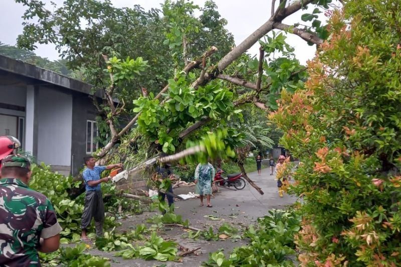 Waspada! BMKG Imbau Masyarakat Maluku Antisipasi Cuaca Buruk