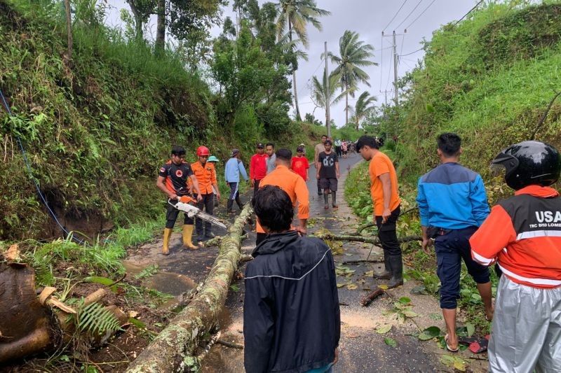 Hujan Deras dan Angin Kencang Picu Bencana di Lombok Timur