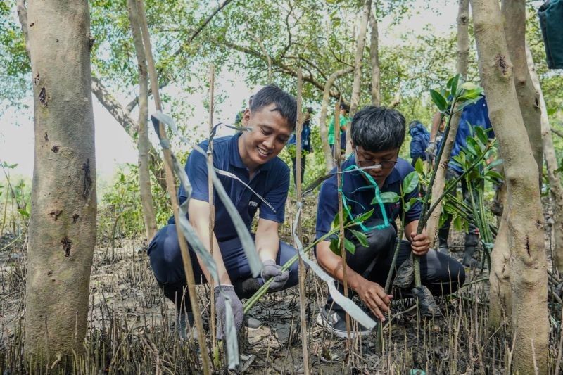 PT PAL Lestarikan Pesisir Surabaya dengan Penanaman Mangrove