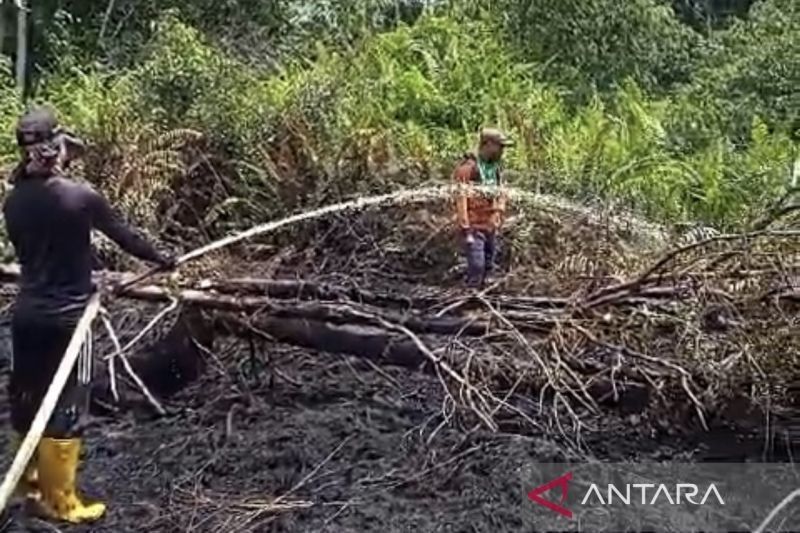 Kebakaran Lahan di Aceh Barat: BPBD Padamkan Api di Dua Desa