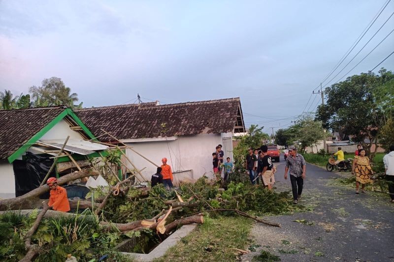 Angin Kencang Rusak Rumah dan Timpa Warga Lumajang