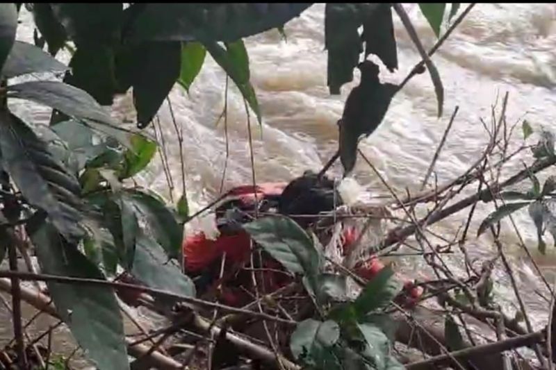 Balita Hilang Terseret Arus Sungai di Lombok Timur, Pencarian Dilanjutkan