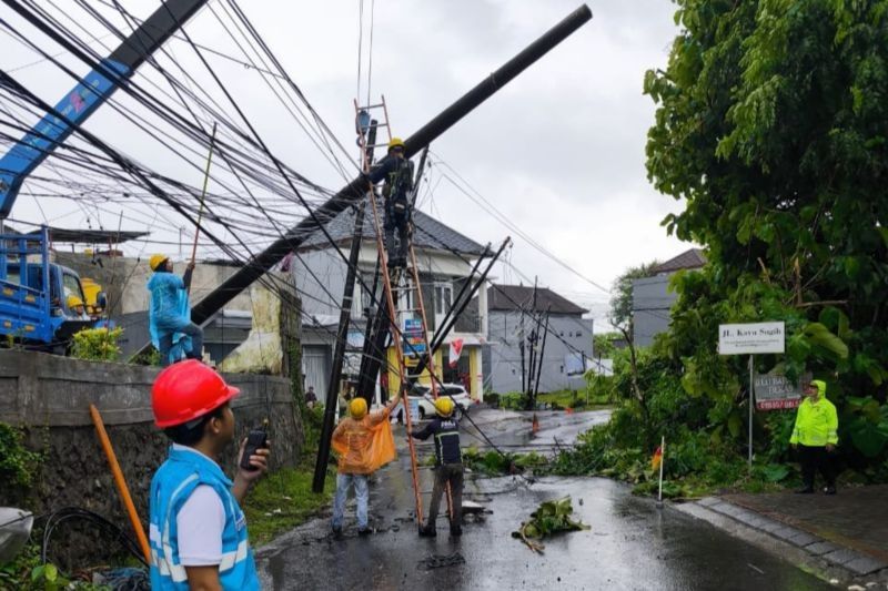 PLN Pulihkan Listrik Bali Pasca Cuaca Ekstrem: 137.115 Pelanggan Terdampak