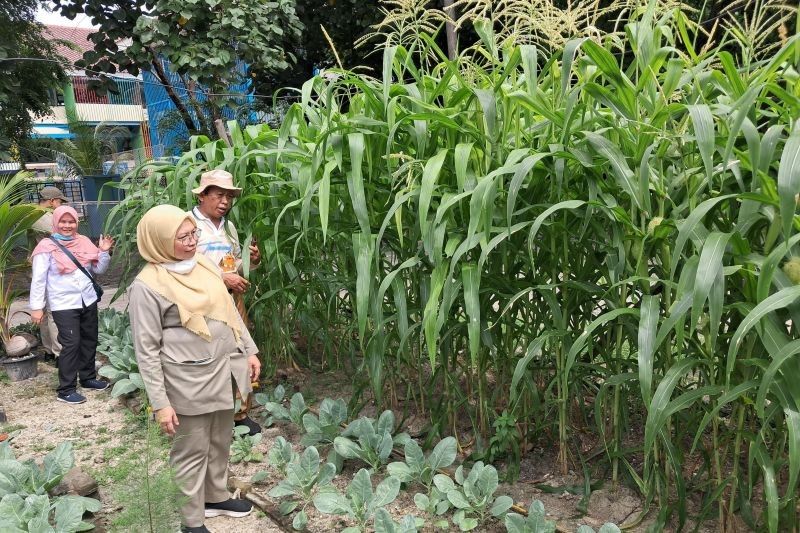 Kepulauan Seribu Dukung Ketahanan Pangan Lewat Pendampingan Petani