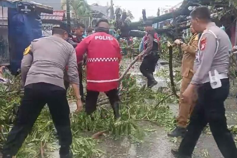 Gotong Royong Pasca Angin Kencang di Gowa: Warga dan Aparat Bersihkan Pohon Tumbang