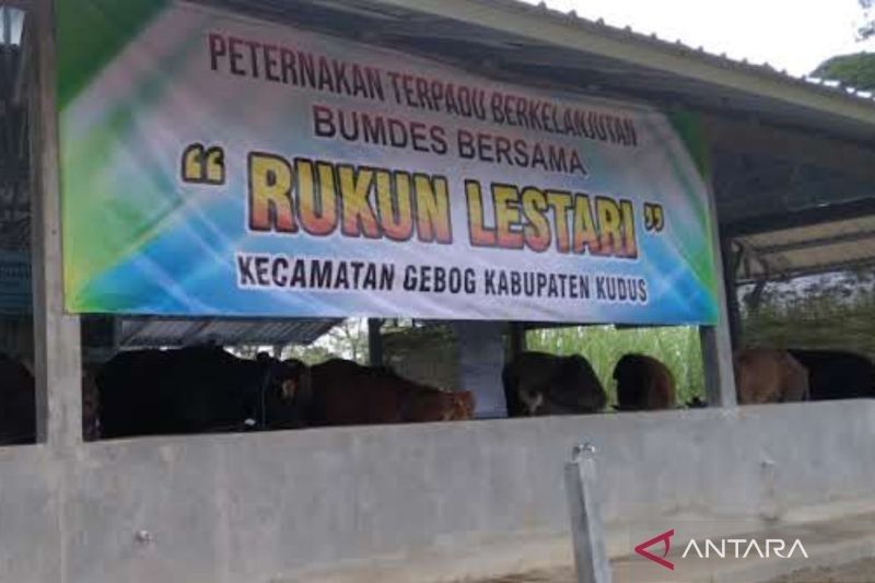 Pemkab Kudus Dukung Alokasi 20% Dana Desa untuk BUMDes