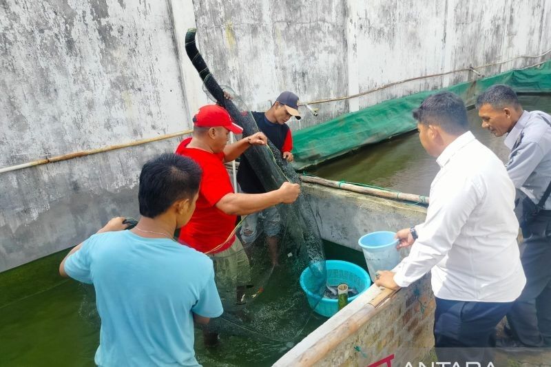 Lapas Martapura Sukses Panen Ikan, Bekali Warga Binaan Keterampilan Pertanian