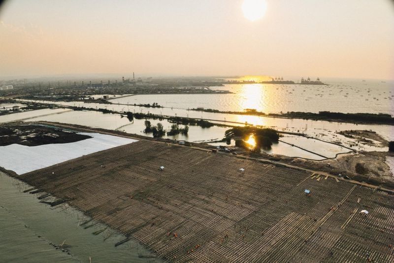 Jalan Tol Semarang-Demak Seksi 1B: Progres 50%, Solusi Banjir Rob & Inovasi Konstruksi