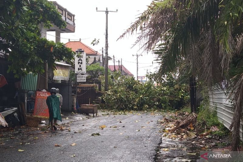 Waspada! Angin Kencang 60 Km/Jam Mengancam Bali (11-13 Februari)