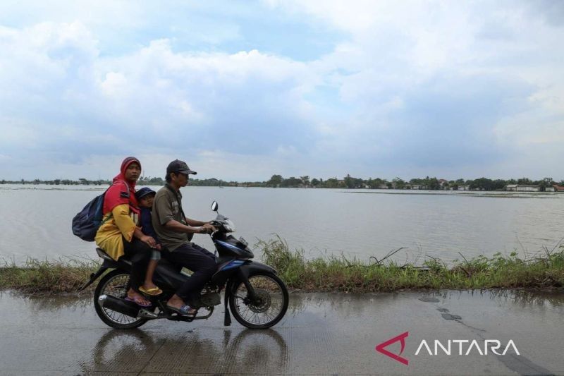 Dinas Pertanian Bekasi Antisipasi Dampak Hujan: Mitigasi Genangan di Sawah