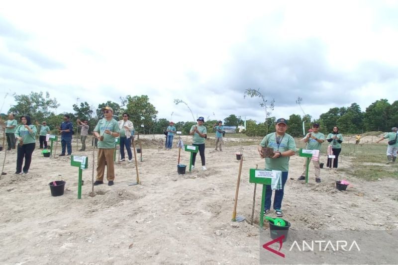 PNM-BRI Insurance Tanam 1.000 Bibit Pohon di Pangkalpinang: Wujud Peduli Lingkungan