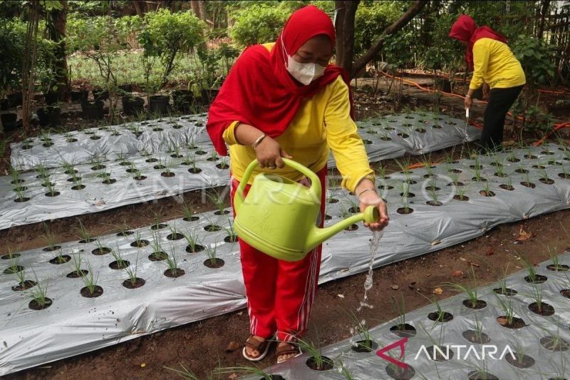 402 Desa di Aceh Resmi Terdaftar dalam Program Kampung Iklim