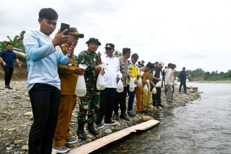 Sulbar Lepas 30 Ribu Bibit Nila di Bendungan Kalambangan, Dorong Ketahanan Pangan