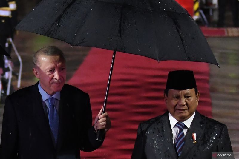 Sambutan Hangat Erdogan di Istana Bogor: Perayaan 75 Tahun Persahabatan RI-Turki