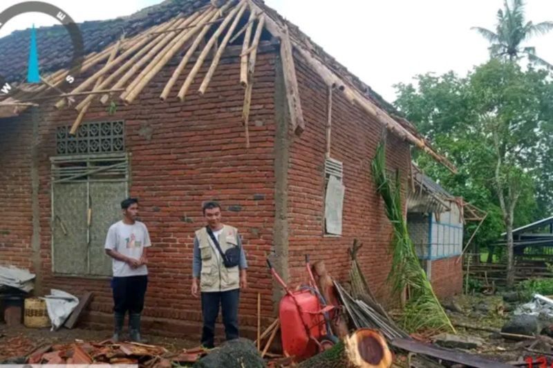 42 Pohon Tumbang Akibat Cuaca Ekstrem di Lombok Timur