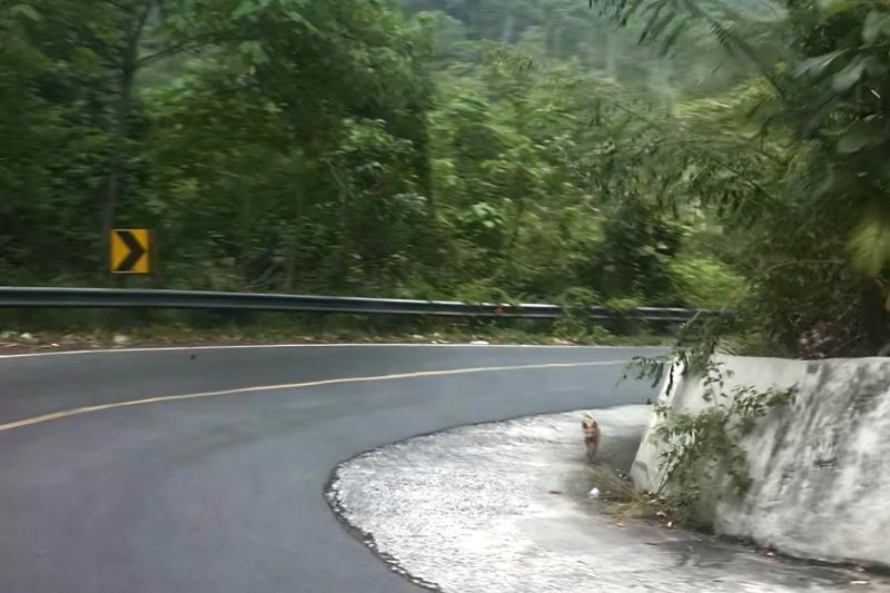 Lampung Usul Tambah Jalur Darurat di Ruas Jalan Rawan Kecelakaan