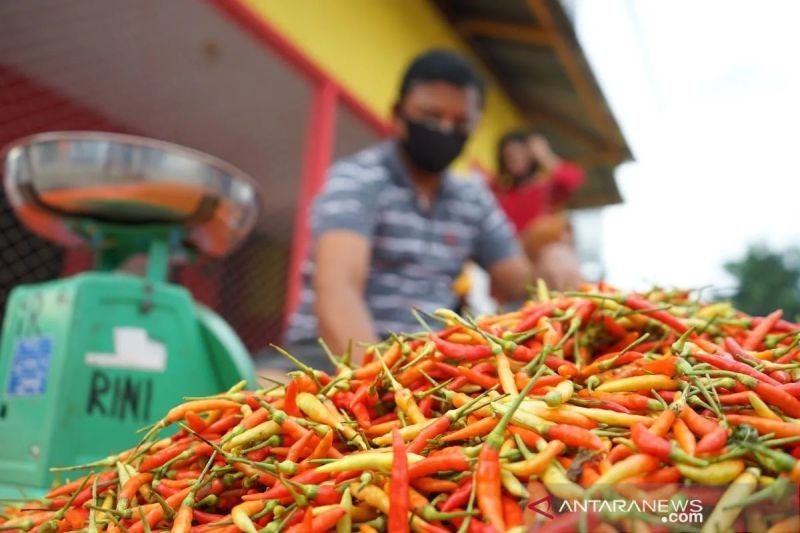 Harga Cabai Rawit Merah Tembus Rp70.900/kg; BI Catat Kenaikan Harga Pangan