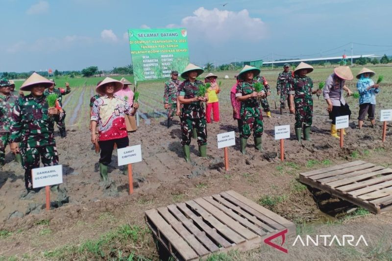 Aster Kasdam Jaya Dukung Ketahanan Pangan Nasional Lewat Pertanian Terpadu