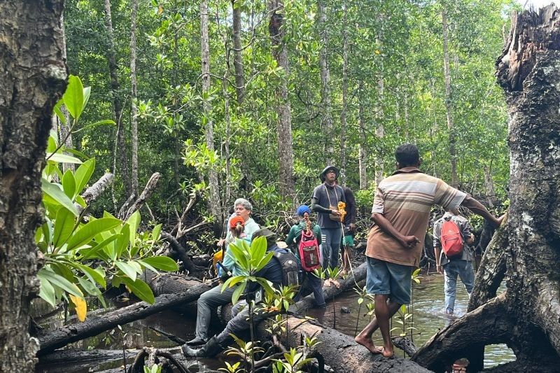 Unipa: Penelitian Mangrove dan Lamun untuk Mitigasi Perubahan Iklim