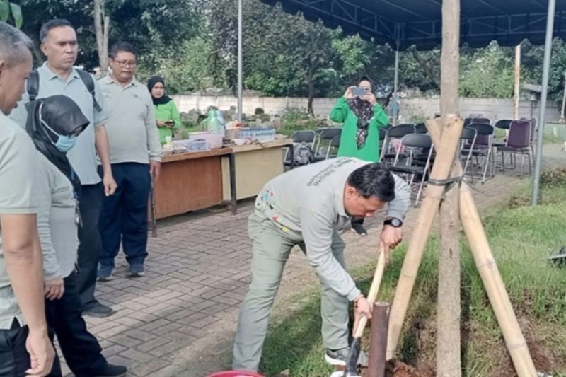 Lahan Kosong TPU Kembangan Utara Dihijaukan dengan Pohon Tabebuya