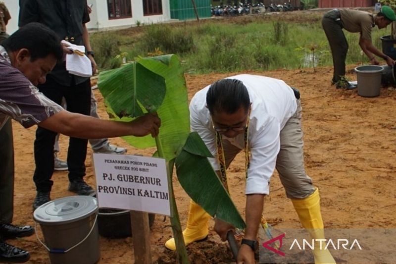 Pemprov Kaltim Optimalkan Ketahanan Pangan lewat Gerakan Tanam Pisang