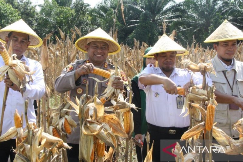 Polres Penajam Ajak Warga Tanam Jagung demi Ketahanan Pangan