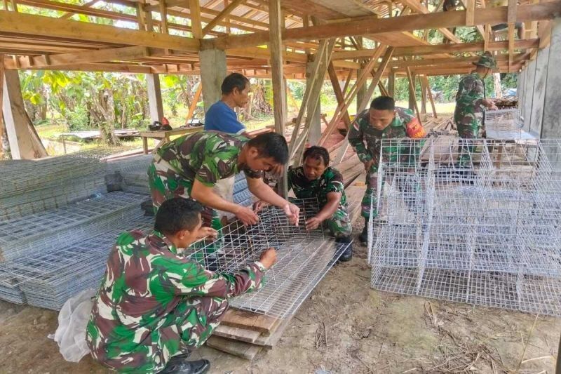 TNI Dukung Ketahanan Pangan di Talaud: Bantu Warga Bangun Kandang Ayam