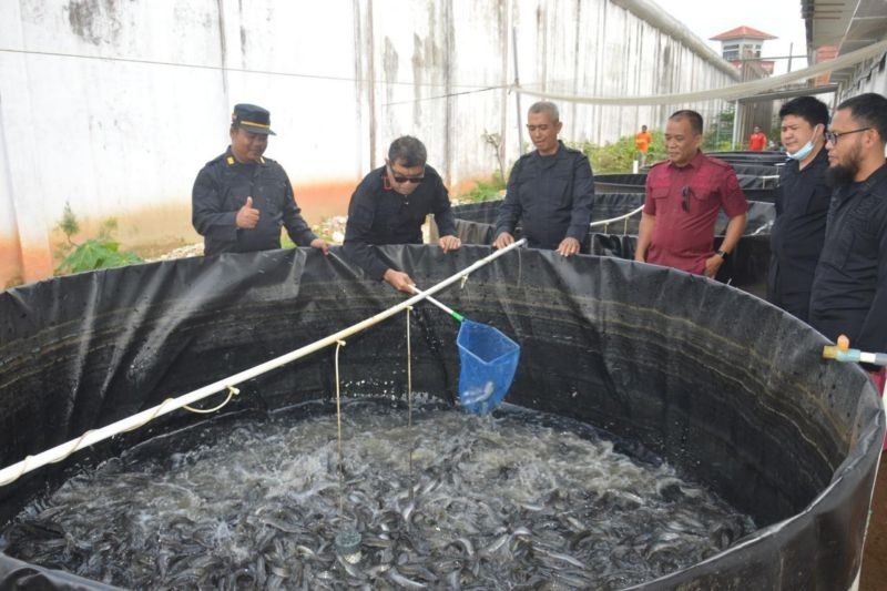 Lapas Jambi Dukung Ketahanan Pangan Nasional lewat Program Pertanian