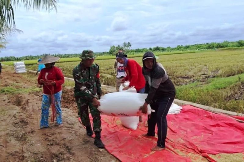 Kodim Bontang Awasi Harga Gabah, Patuh Instruksi Presiden