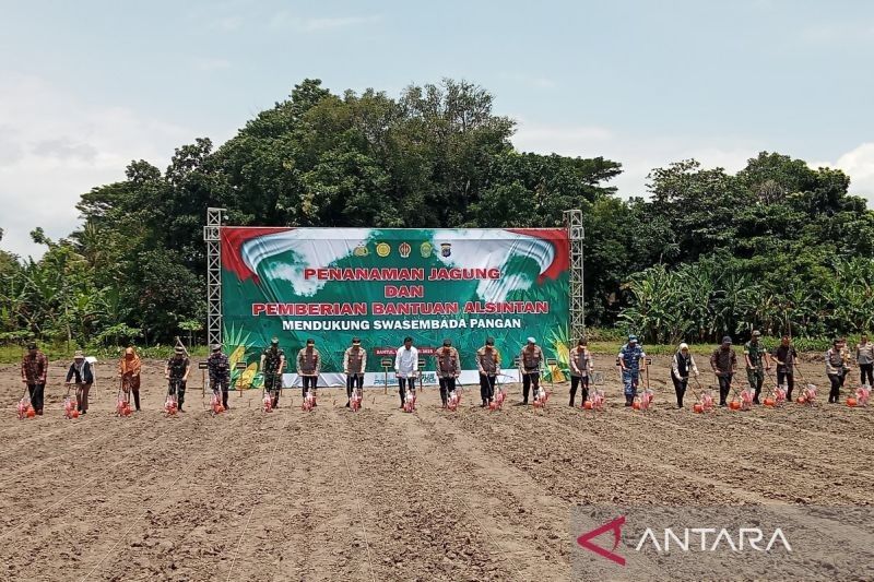 Kapolri Dukung Swasembada Pangan, Tanam Jagung di Bantul