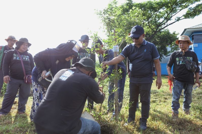 Makassar Tanam 30 Pohon Ketapang Kencana di TPS 3R Untia, Rayakan HPSN 2025