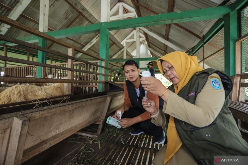 Pasar Hewan Lamongan Dibuka Kembali, Syarat Hewan Harus Sudah Divaksin PMK