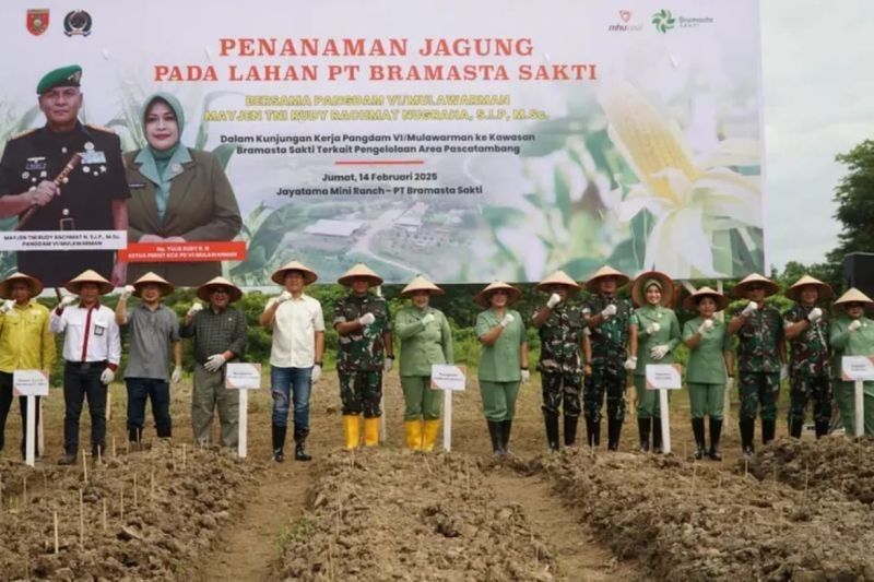 Kodam VI/Mulawarman Sukses Ubah Lahan Tambang Kaltim Jadi Lahan Pangan