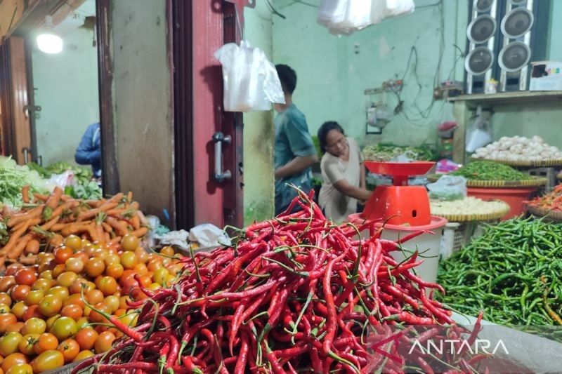 Harga Cabai di Bengkulu Turun Jelang Ramadhan