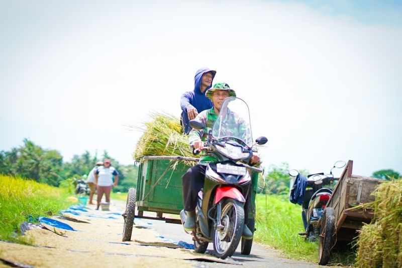 Ketahanan Pangan RI Terjaga, Berbeda dengan Filipina yang Darurat Pangan