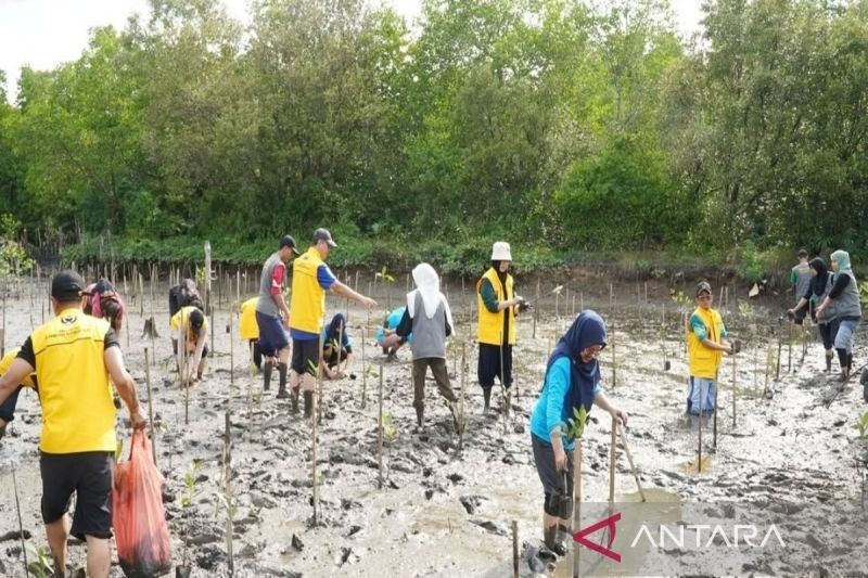 ULM Kembangkan Koperasi Berkah Wasaka Mandiri untuk Kelola Mangrove Kotabaru